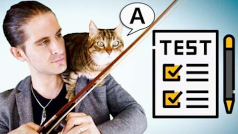 ÇEVRİMİÇİ TESTLER